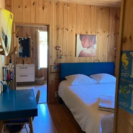 Willa Cap-ferret Belle Bois, Piscine Chauffee